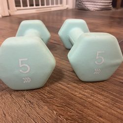 5lb Dumbbells (pair)