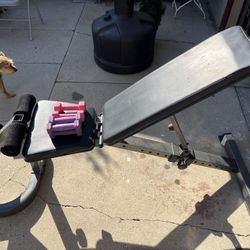 Bench And Weights 