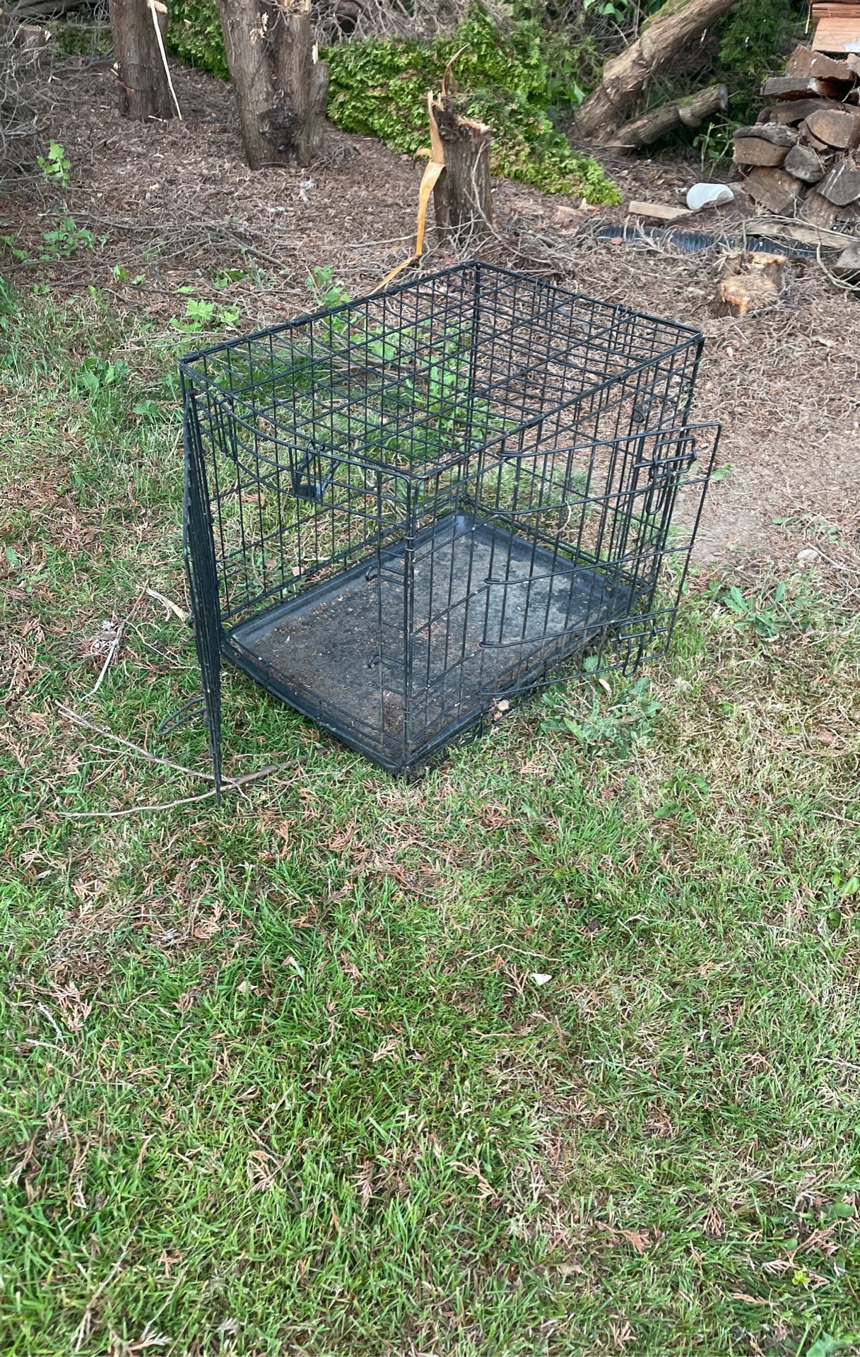 Two Animal Transport Cages Free!