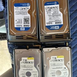 Western Digital 250GB Desktop Hard Drives – Lot of 4 (1TB Total)