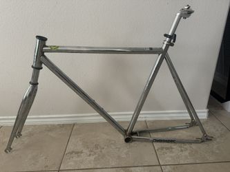 Retrospec Chrome Bike Frame