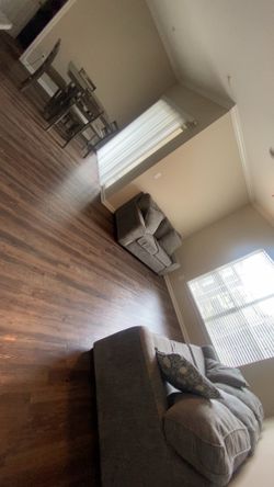 Dining table and couches