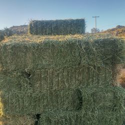 Alfalfa Hay Bale / Paca De Alfalfa