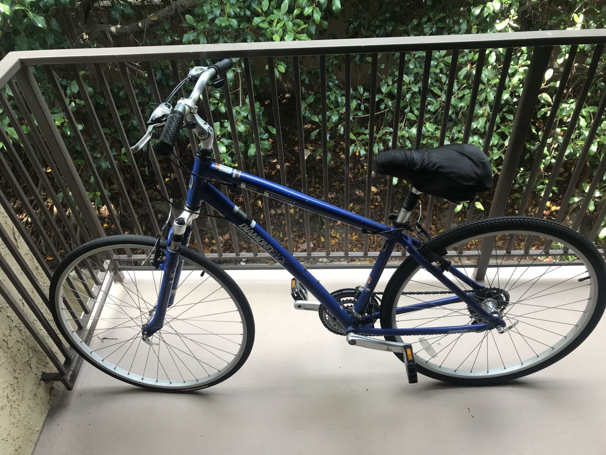 diamond back edgewood lx