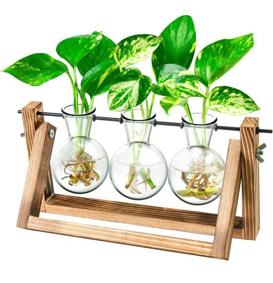 Ivolador Desktop Propagation Station, Plant Terrarium, Plant Lover Gifts for Women