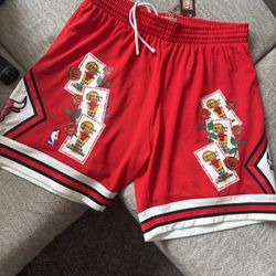 Bulls Shorts And Jordan 1s 