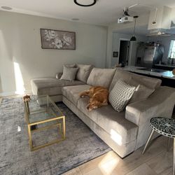 Living space Deep Cushion Gray Couch