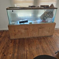 75 GALLON FISH TANK/ AQUARIUM 