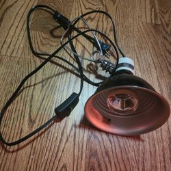 75w Heat Lamp