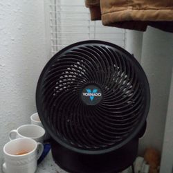Vornado Fan