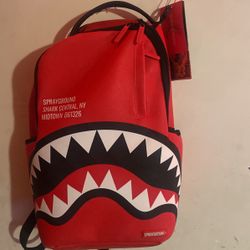 Spray Ground Back Pack 