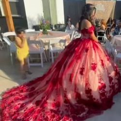 Quince Dress