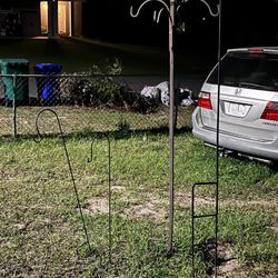 Different Hooks Plants (Each Different Prices) 