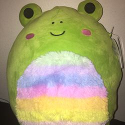 Squishmallow Wendy 12” Rainbow Belly Frog for Sale in Huntington