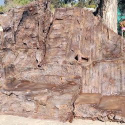 Free Cerro De Foam Para Actividades De La Iglesia 