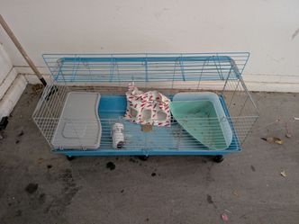 Small rodent cage