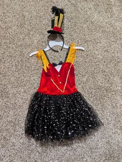 Circus Ringmaster