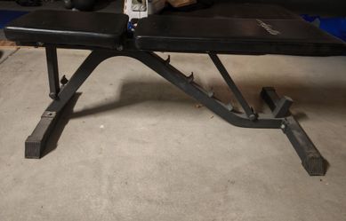 Apollo workout bench