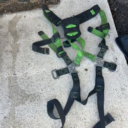 Safety Harness
