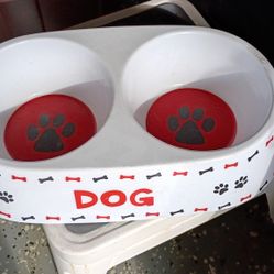 Dog Bowl