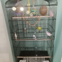 Two Parakeets With Cage On Wheels 