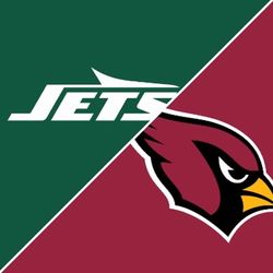 Arizona Cardinals Vs New York Jets Lower Level Row 9
