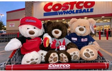 Costco Wholesale Themed Teddy Bears Set of 3