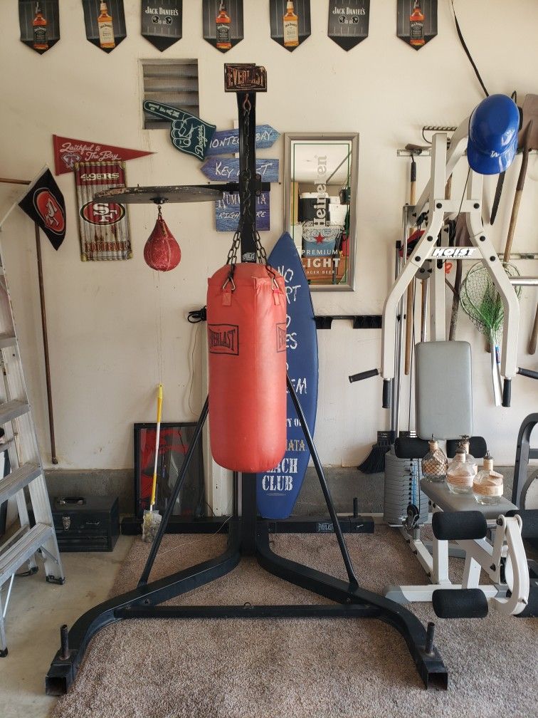 Everlast Punching Bag Speed Bag Combo
