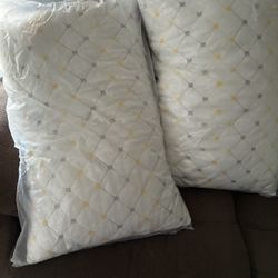 2 Standard Pillows