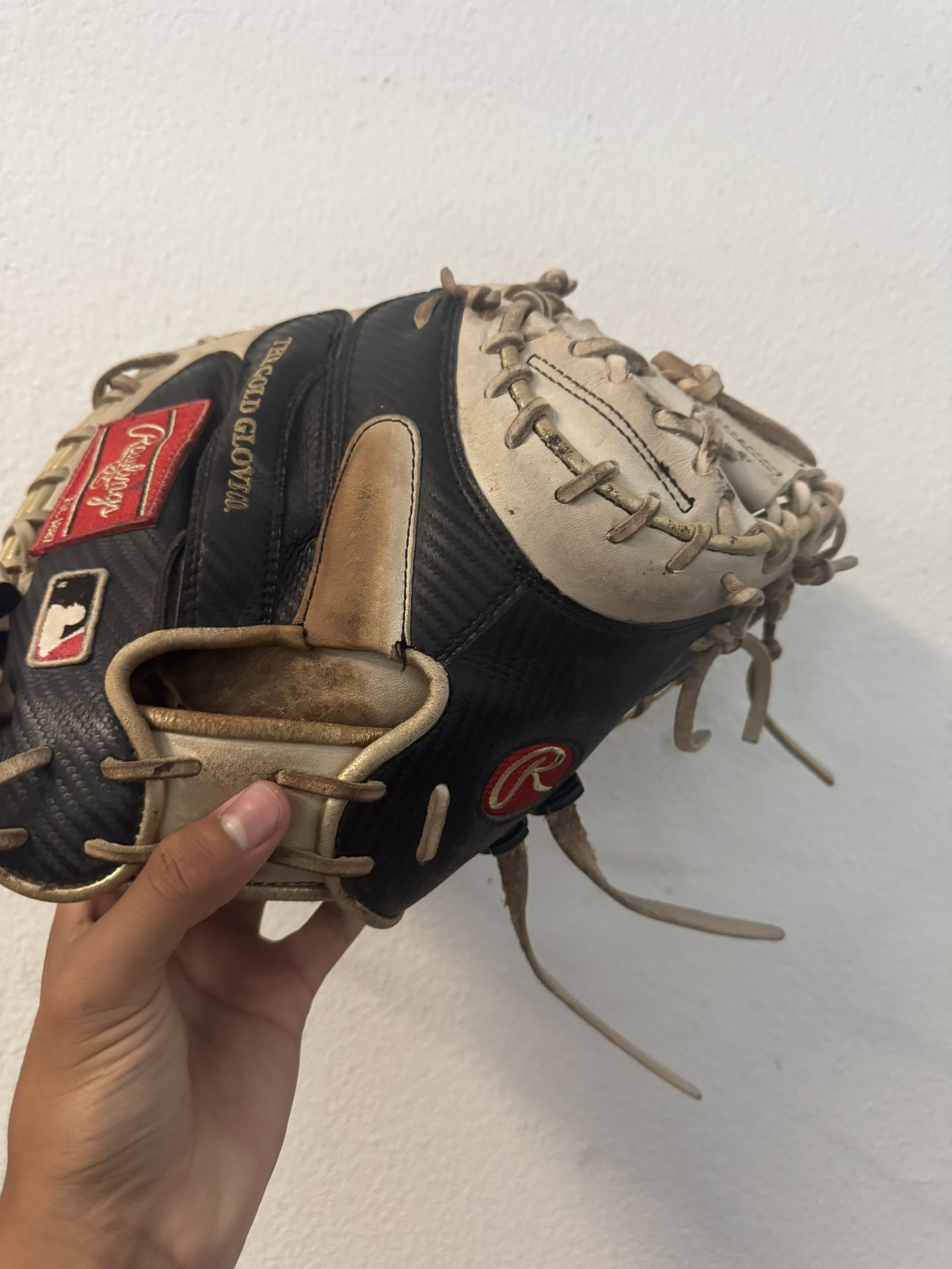Catcher Glove Rawlings