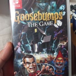 Nintendo Switch Videogame 