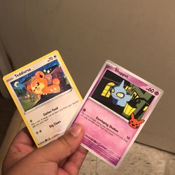 Pokmon Card And Coin (shuppet, Teddiursa) for Sale in Waterbury, CT -  OfferUp