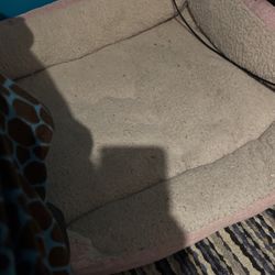 Pet Bed