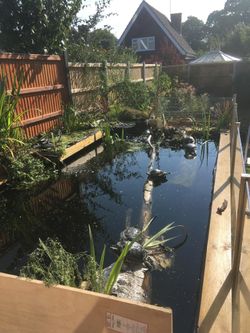 Shelter / Habitat / Sanctuary