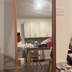Mirror 65x18 Inch