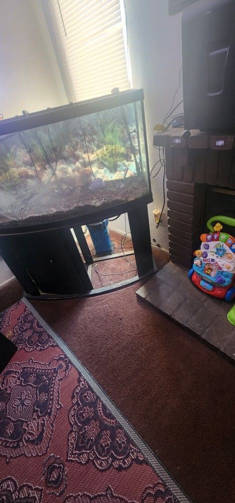 fish tank