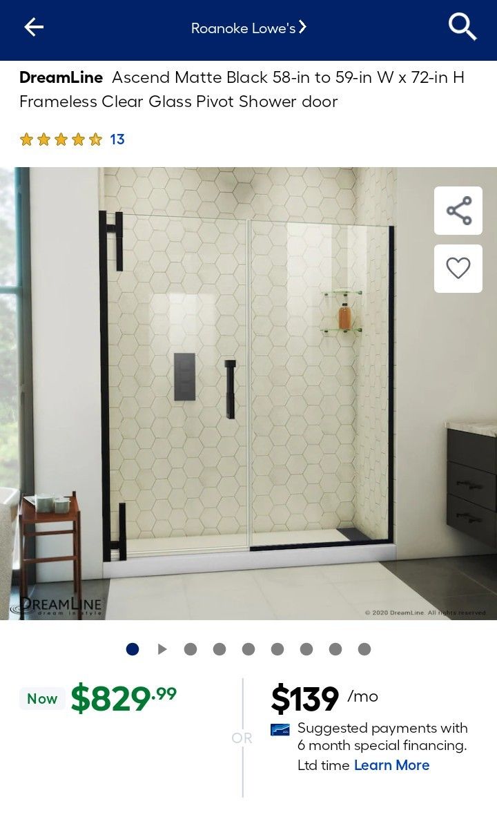 Matte Black Shower Door 