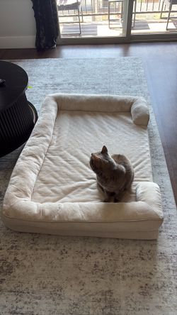 Extra large dog bed