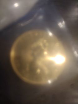 1 oz. Of pure gold! Brand new!