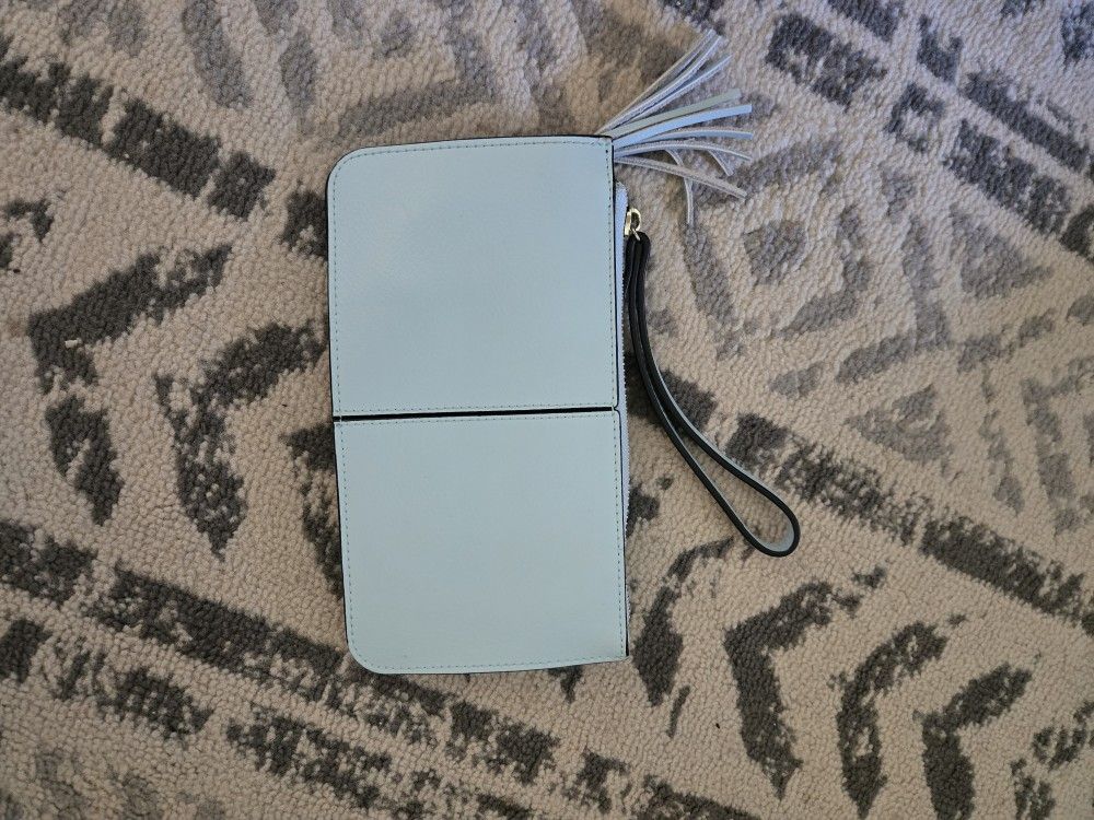 Light Blue wallet or clutch 