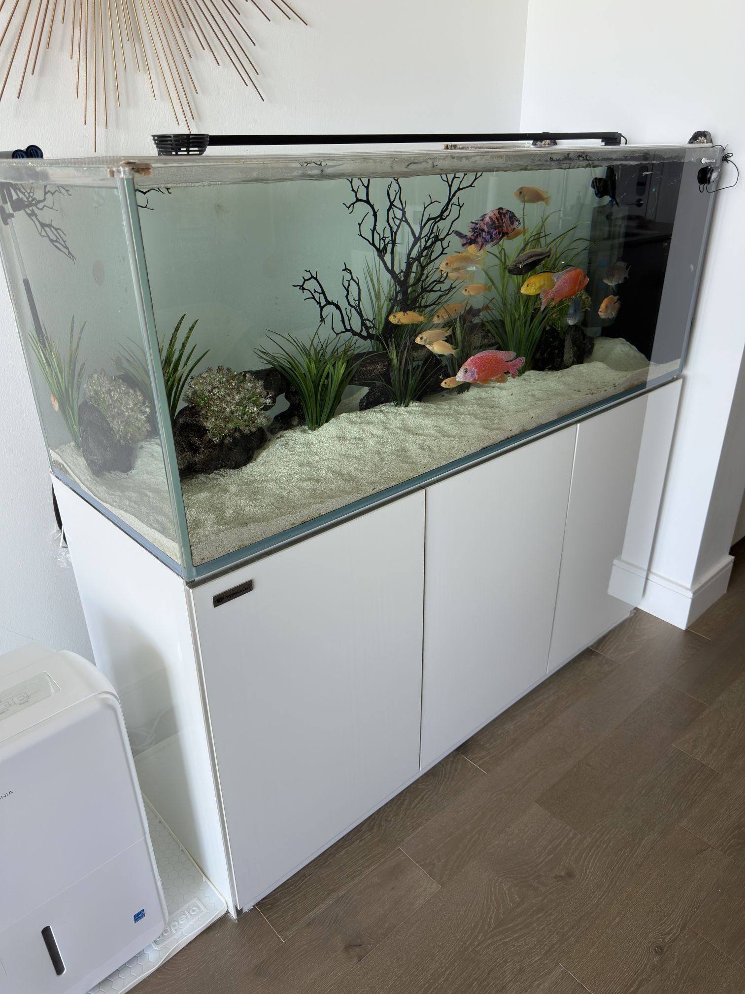 120 Gallon Aquarium Complete