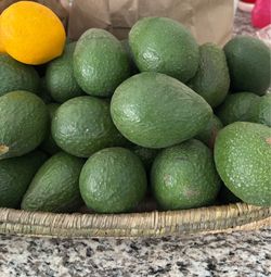Fresh picked avocados 🥑