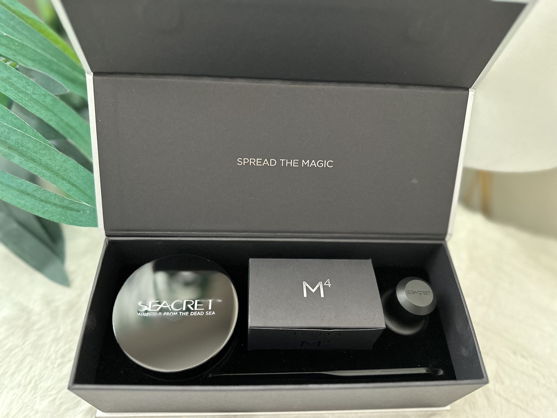 M4 Mineral-Rich Magnetic Mud Mask