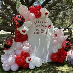 Party Decor/ Balloons