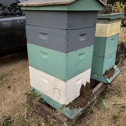 BEE HIVE SETUP (NO BEES) 