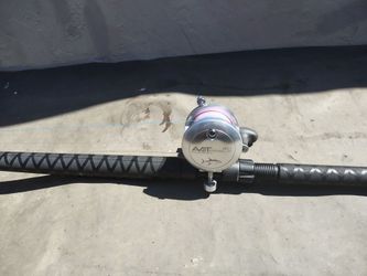 Avet 2 speed / Graftech combo
