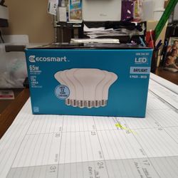 Ecosmart  Daylight LED 