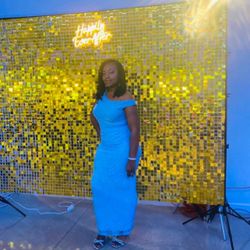 Shimmer Backdrop And Lighted Sign (no Stand)