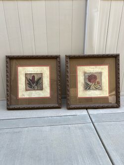 Set of 2 Botanical Framed Art Prints 26”x26”