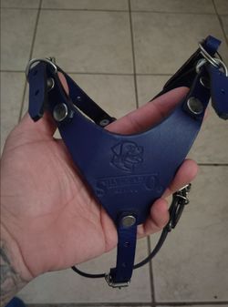 Dog  leash and baby bassinet